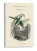 La Biblioteca De Los Naturalistas I - W.H. Lizars | Cuadro decorativo de Canvas Lab