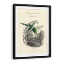 La Biblioteca De Los Naturalistas I - W.H. Lizars | Cuadro decorativo de Canvas Lab