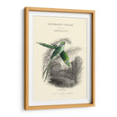 La Biblioteca De Los Naturalistas I - W.H. Lizars | Cuadro decorativo de Canvas Lab