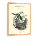 La Biblioteca De Los Naturalistas I - W.H. Lizars | Cuadro decorativo de Canvas Lab