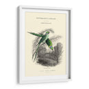 La Biblioteca De Los Naturalistas I - W.H. Lizars | Cuadro decorativo de Canvas Lab