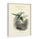 La Biblioteca De Los Naturalistas I - W.H. Lizars | Cuadro decorativo de Canvas Lab