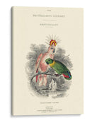 La Biblioteca Naturalistas Ii - W.H. Lizars | Cuadro decorativo de Canvas Lab