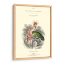 La Biblioteca Naturalistas Ii - W.H. Lizars | Cuadro decorativo de Canvas Lab