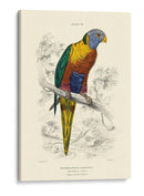 La Biblioteca De Naturalistas Iii - W.H. Lizars | Cuadro decorativo de Canvas Lab