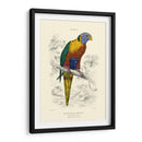 La Biblioteca De Naturalistas Iii - W.H. Lizars | Cuadro decorativo de Canvas Lab