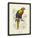 La Biblioteca De Naturalistas Iii - W.H. Lizars | Cuadro decorativo de Canvas Lab