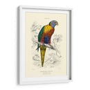 La Biblioteca De Naturalistas Iii - W.H. Lizars | Cuadro decorativo de Canvas Lab