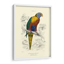 La Biblioteca De Naturalistas Iii - W.H. Lizars | Cuadro decorativo de Canvas Lab