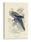 La Biblioteca Naturalistas Iv - W.H. Lizars | Cuadro decorativo de Canvas Lab