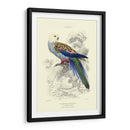La Biblioteca Naturalistas Iv - W.H. Lizars | Cuadro decorativo de Canvas Lab