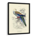 La Biblioteca Naturalistas Iv - W.H. Lizars | Cuadro decorativo de Canvas Lab