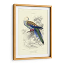 La Biblioteca Naturalistas Iv - W.H. Lizars | Cuadro decorativo de Canvas Lab