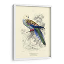 La Biblioteca Naturalistas Iv - W.H. Lizars | Cuadro decorativo de Canvas Lab