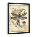 Regal Libélula I - Vision Studio | Cuadro decorativo de Canvas Lab