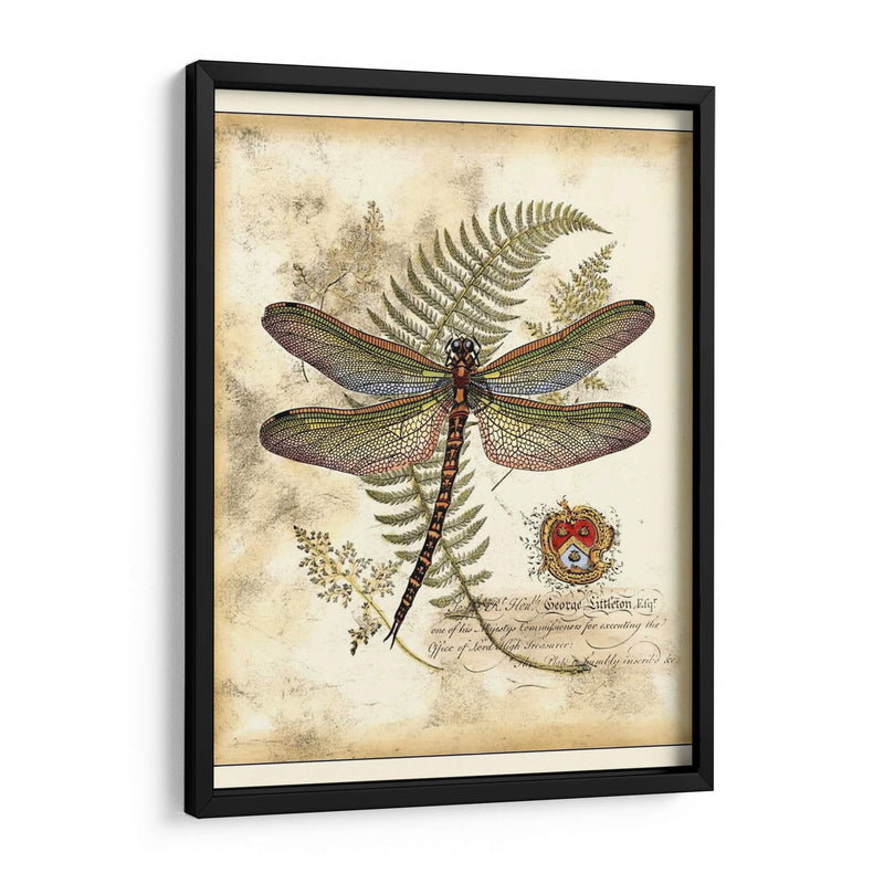 Regal Libélula I - Vision Studio | Cuadro decorativo de Canvas Lab