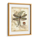 Regal Libélula I - Vision Studio | Cuadro decorativo de Canvas Lab