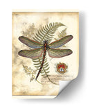 Regal Libélula I - Vision Studio | Cuadro decorativo de Canvas Lab