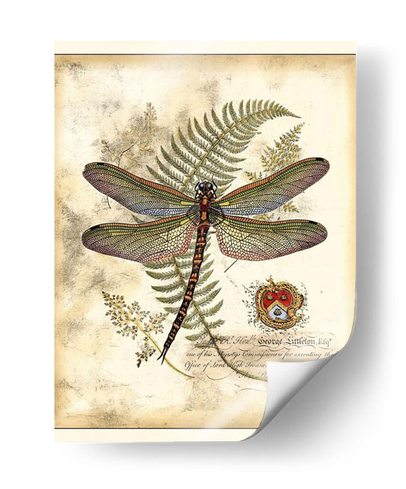 Regal Libélula I - Vision Studio | Cuadro decorativo de Canvas Lab