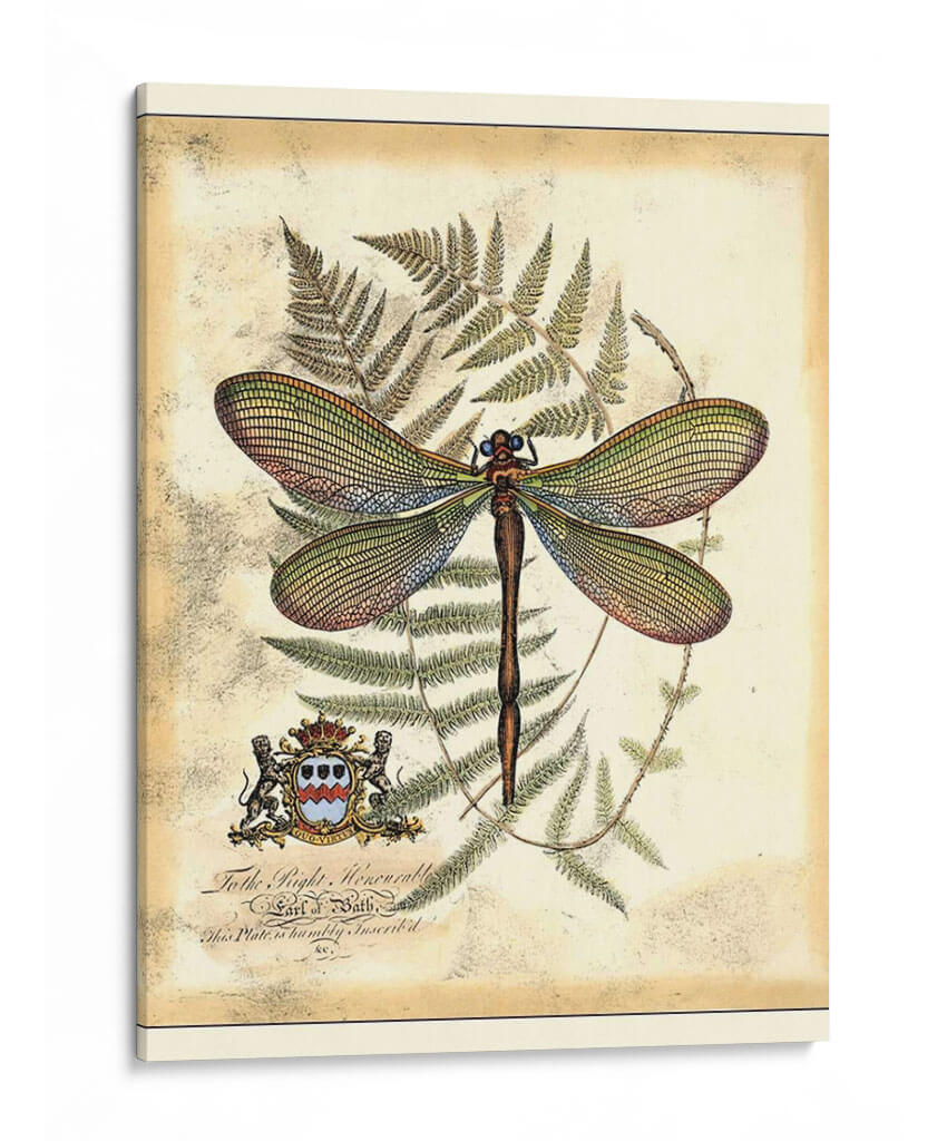 Regal Dragonfly Ii - Vision Studio | Cuadro decorativo de Canvas Lab