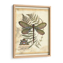 Regal Dragonfly Ii - Vision Studio | Cuadro decorativo de Canvas Lab