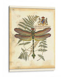 Regal Dragonfly Iii - Vision Studio | Cuadro decorativo de Canvas Lab