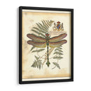 Regal Dragonfly Iii - Vision Studio | Cuadro decorativo de Canvas Lab