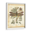 Regal Dragonfly Iii - Vision Studio | Cuadro decorativo de Canvas Lab