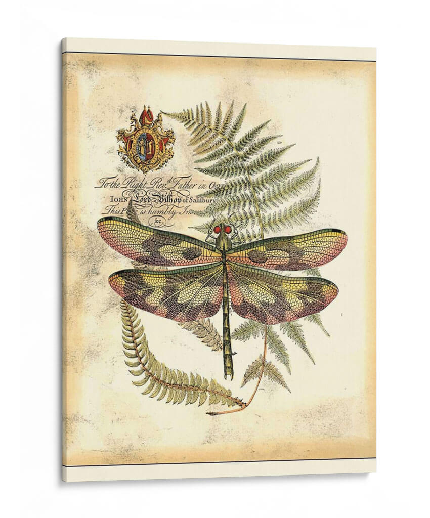 Regal Dragonfly Iv - Vision Studio | Cuadro decorativo de Canvas Lab