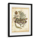 Regal Dragonfly Iv - Vision Studio | Cuadro decorativo de Canvas Lab