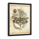 Regal Dragonfly Iv - Vision Studio | Cuadro decorativo de Canvas Lab