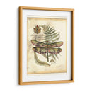 Regal Dragonfly Iv - Vision Studio | Cuadro decorativo de Canvas Lab