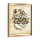 Regal Dragonfly Iv - Vision Studio | Cuadro decorativo de Canvas Lab