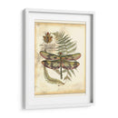 Regal Dragonfly Iv - Vision Studio | Cuadro decorativo de Canvas Lab