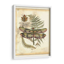 Regal Dragonfly Iv - Vision Studio | Cuadro decorativo de Canvas Lab