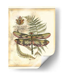 Regal Dragonfly Iv - Vision Studio | Cuadro decorativo de Canvas Lab