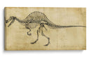 Estudio De Spinosaurus - Ethan Harper | Cuadro decorativo de Canvas Lab