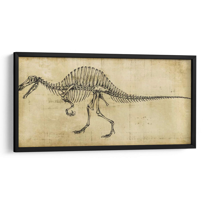 Estudio De Spinosaurus - Ethan Harper | Cuadro decorativo de Canvas Lab