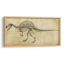 Estudio De Spinosaurus - Ethan Harper | Cuadro decorativo de Canvas Lab