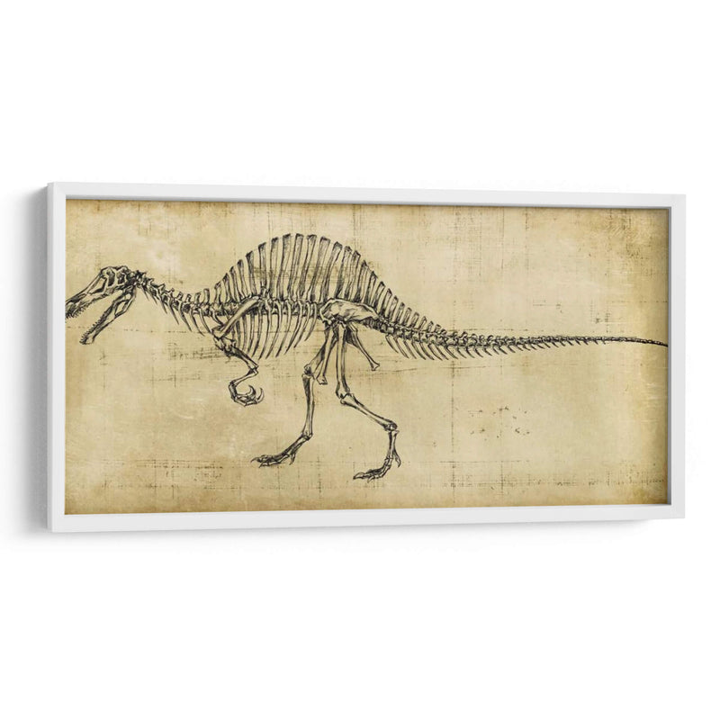 Estudio De Spinosaurus - Ethan Harper | Cuadro decorativo de Canvas Lab