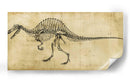 Estudio De Spinosaurus - Ethan Harper | Cuadro decorativo de Canvas Lab
