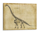 Estudio De Braquiosaurus - Ethan Harper | Cuadro decorativo de Canvas Lab