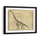 Estudio De Braquiosaurus - Ethan Harper | Cuadro decorativo de Canvas Lab