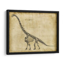 Estudio De Braquiosaurus - Ethan Harper | Cuadro decorativo de Canvas Lab