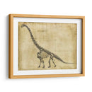 Estudio De Braquiosaurus - Ethan Harper | Cuadro decorativo de Canvas Lab