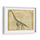 Estudio De Braquiosaurus - Ethan Harper | Cuadro decorativo de Canvas Lab