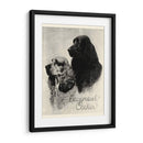 B Y W Epagneul Cocker - Vision Studio | Cuadro decorativo de Canvas Lab