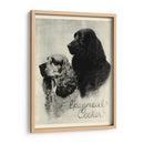 B Y W Epagneul Cocker - Vision Studio | Cuadro decorativo de Canvas Lab