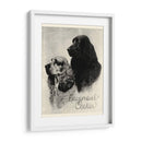 B Y W Epagneul Cocker - Vision Studio | Cuadro decorativo de Canvas Lab