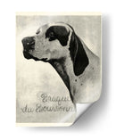 B Y W Brague Du Bourbonnais - Vision Studio | Cuadro decorativo de Canvas Lab